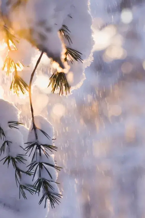 聽完29個雪的名字,原來每一場雪都獨一無二! 聽完29個雪的名字,原來每一場雪都獨一無二!