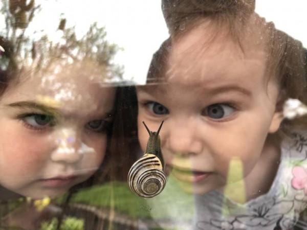 45張照片！讓你看到驚奇無比，難以想象的神奇的大自然