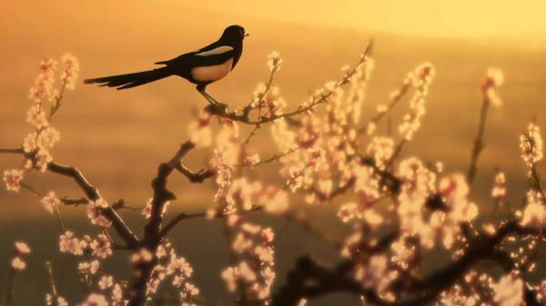 窗前誰浸木犀黃。兩首傷而不悲的閨怨詞,讓人心生美好 窗前誰浸木犀黃。兩首傷而不悲的閨怨詞,讓人心生美好