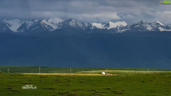 1028名日本人報名遊新疆？新疆顏值實錘了，一年四季，美麗不停歇
