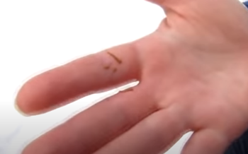 看完蜜蜂拉粑粑，我放下了手裡的蛋黃醬