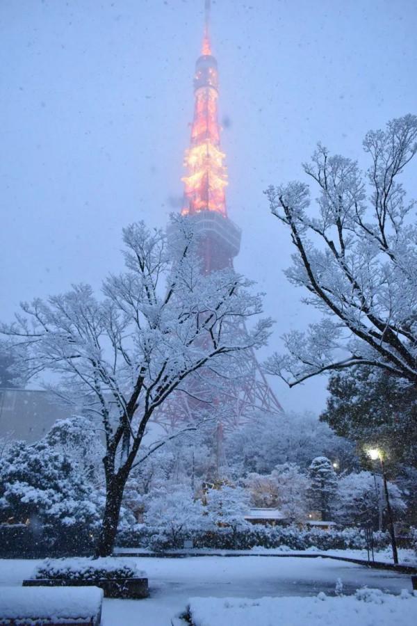 2022東京初雪,這個近45年來最冷的冬天,美翻了 2022東京初雪,這個近45年來最冷的冬天,美翻了
