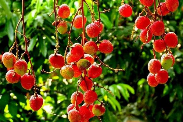 雲南3個美麗的低調小城,冬天暖陽物美價廉,北方人過冬的好地方 雲南3個美麗的低調小城,冬天暖陽物美價廉,北方人過冬的好地方