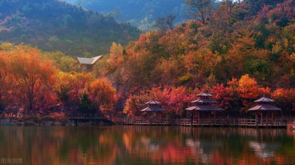 秋意濃濃九如山 秋意濃濃九如山