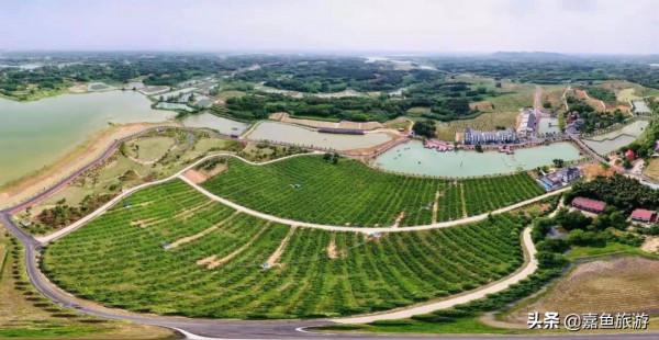 喜報！嘉魚康豐源生態旅遊區被評定為國家3A級旅遊景區！