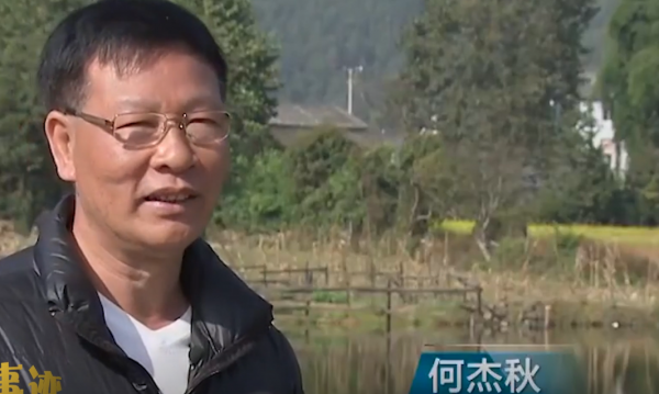 2009年老闆投入6000萬尾魚苗，魚集體失蹤，4年後靠魚年收3000萬