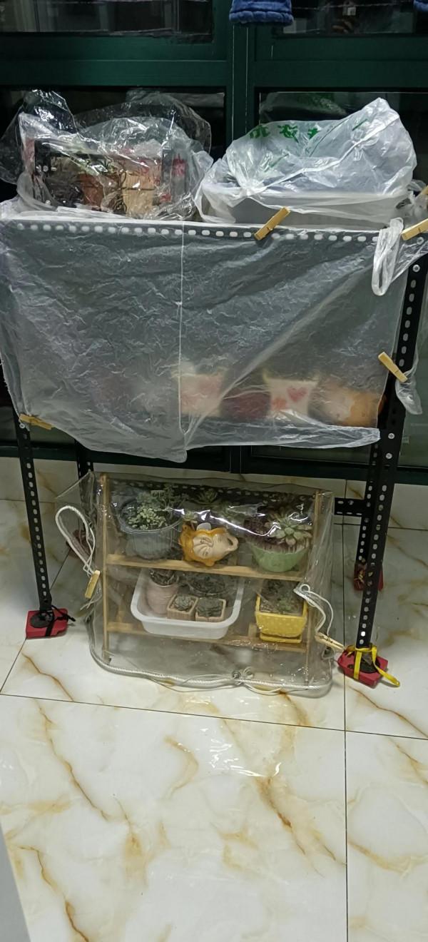 為了花花草草們，弄了這個保溫措施，怎麼樣？還有沒有好方法？