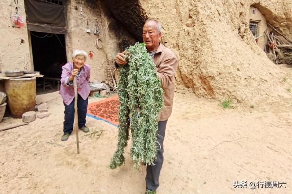 農民大爺上山割下“神仙草”,點燃防蚊蟲能保10小時,看是啥 農民大爺上山割下“神仙草”,點燃防蚊蟲能保10小時,看是啥