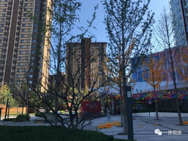 通州雙限購萬科城市之光·東望好不好，百聞不如一見