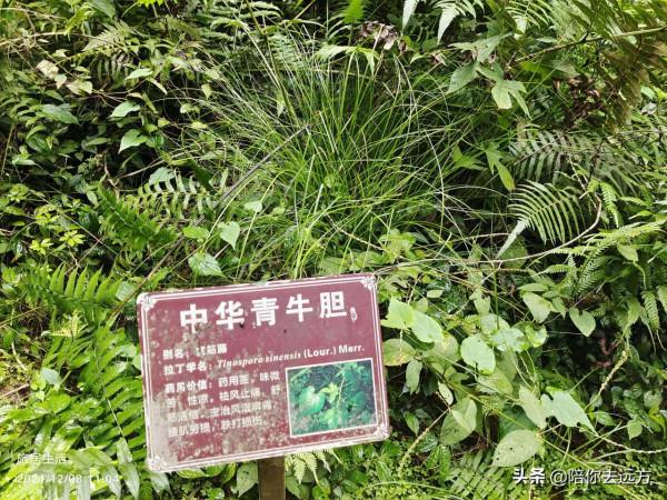 旅居D5-魅力十足百魔洞