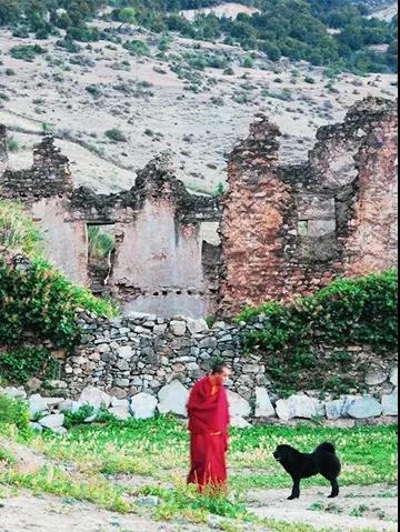 2月國寶級美景!不輸瑞士的神秘淨土,最早綻放的萬畝花海 2月國寶級美景!不輸瑞士的神秘淨土,最早綻放的萬畝花海
