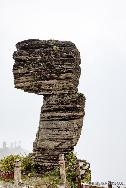一生一定要去一次的地方,貴州梵淨山 一生一定要去一次的地方,貴州梵淨山