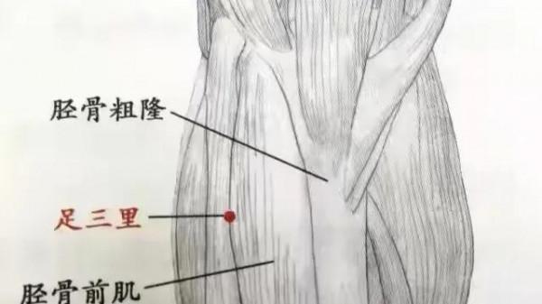 關於灸的常識及保健穴位 關於灸的常識及保健穴位