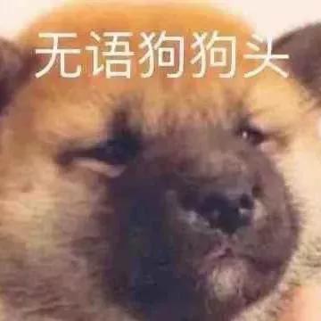動物表情包