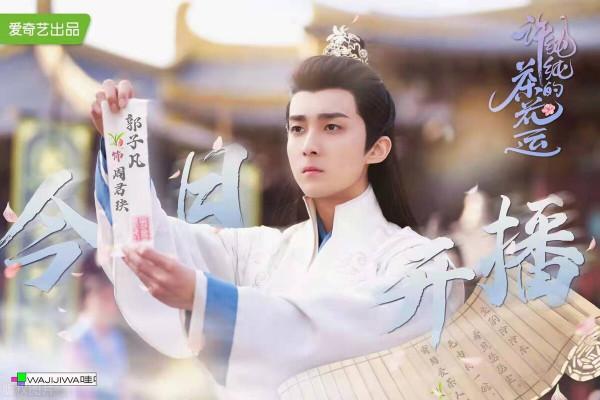 許純純的茶花運 :女主本色演出，好久沒看過搞笑劇情的甜寵劇了