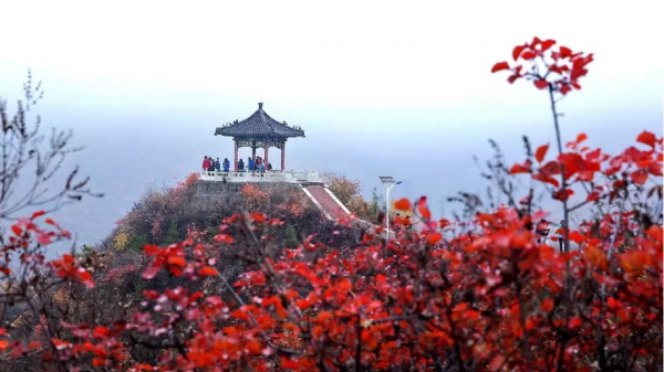 11月份“愛在深秋”,京郊這些人少景美的地方藏著秋天的愛 11月份“愛在深秋”,京郊這些人少景美的地方藏著秋天的愛