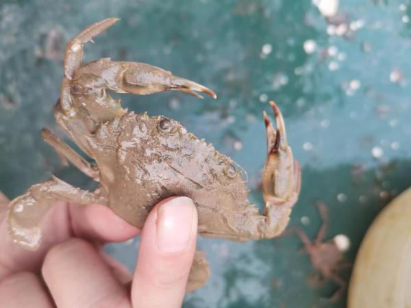 黃驊港出海+南大港溼地兩日遊能不去就別去了，原因