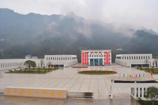 2021中國茶葉品牌十強公佈，湖北採花、漢家劉氏上榜