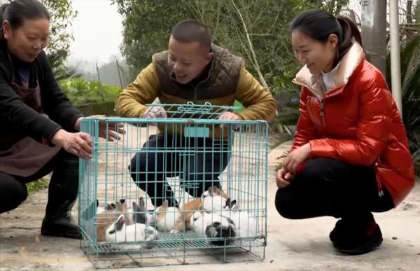 山東小夥辦寵物農場，賣萌寵年入1800萬，帶動村民走上致富路