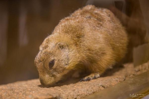 青島必去兩個場館，一個是互動體驗的博物館，一個是神奇的科技館
