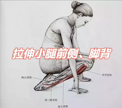 茶餘飯後鍛鍊雙腿——金剛坐的正確坐法,空閒中來有效健身 茶餘飯後鍛鍊雙腿——金剛坐的正確坐法,空閒中來有效健身