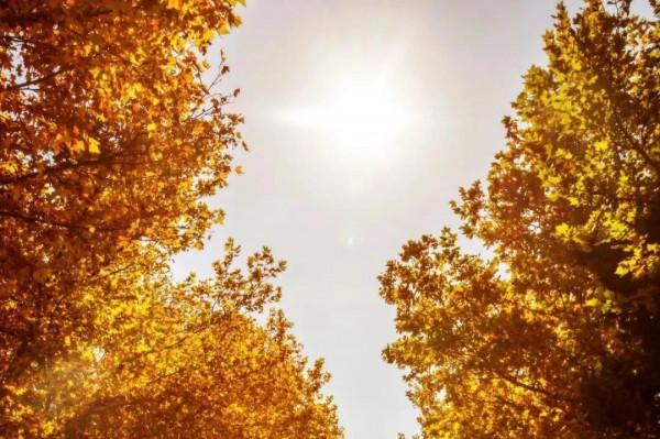 翔海集團:四季美景醉人心!龍口這個地方,一年四季都這麼美 翔海集團:四季美景醉人心!龍口這個地方,一年四季都這麼美