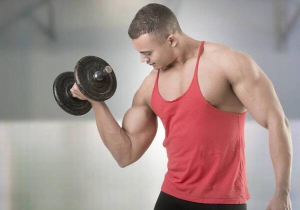 適用於小白的一週健身計劃，每天該如何搭配訓練？