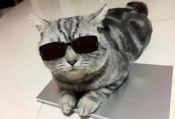 一入採購深似海,從此週末是路人 一入採購深似海,從此週末是路人