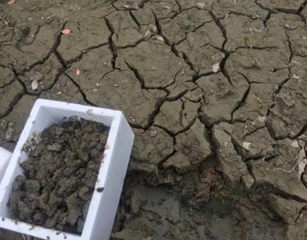 #WE 小威關鍵詞# 生活好幫手