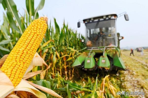 天氣預報:今天八月十五,晴天和陰雨天有啥預兆?看看老祖宗咋說 天氣預報:今天八月十五,晴天和陰雨天有啥預兆?看看老祖宗咋說