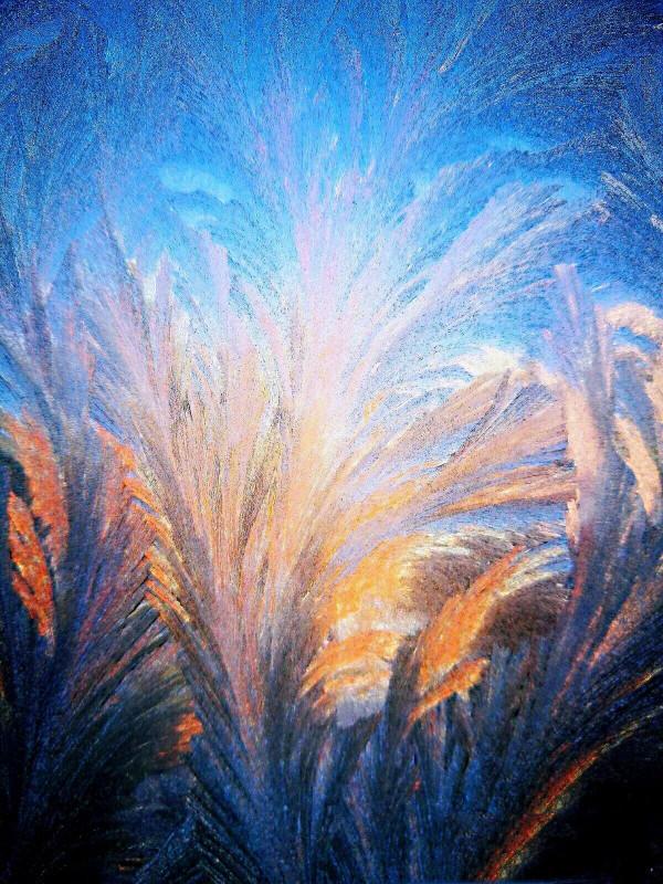 盛開在冬日窗欞上的冰窗花