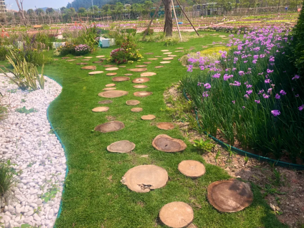 學會搭配這8種園藝植物，讓你的花園收穫一個有趣的靈魂