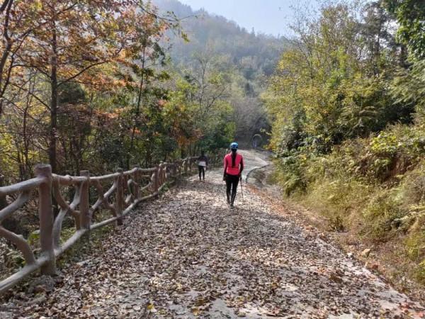 騎行徒步黃山寨、大漢塘、岱鰲山、牛王寨