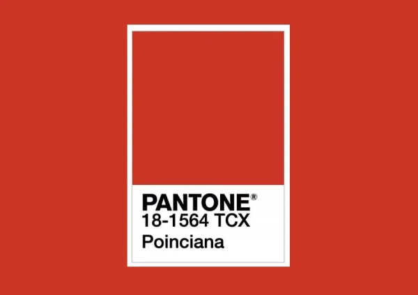 過年少穿大紅色，試試這四種紅，時髦2022一整年