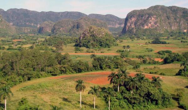 澳洲哄抬礦石價格,讓中國無路可走?幾內亞將礦石開採權交給中國 澳洲哄抬礦石價格,讓中國無路可走?幾內亞將礦石開採權交給中國