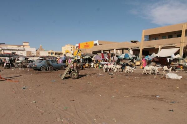 漫步茅利塔尼亞市場,感受非洲的輝煌 漫步茅利塔尼亞市場,感受非洲的輝煌