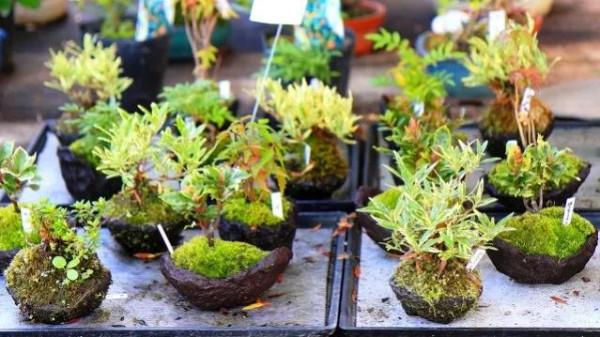 如何讓衛生間美觀大氣、舒適雅緻、空氣清新? 如何讓衛生間美觀大氣、舒適雅緻、空氣清新?