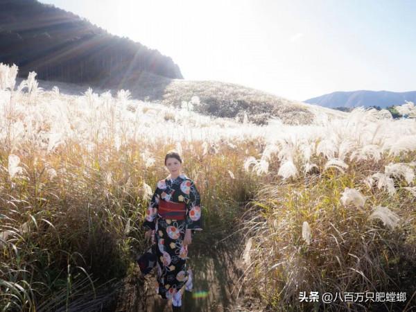 木下凜凜子｜一切都如此恰到好處