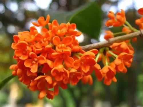 學會10點，你就能克服恐懼