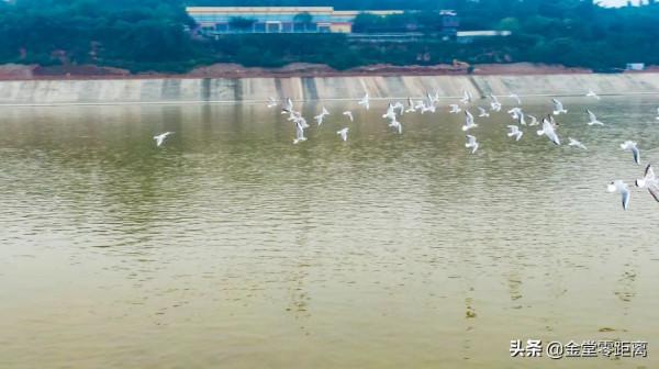 金堂來了一群特殊的客人