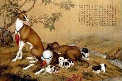 那些年，我在皇宮裡當一隻喵主子……