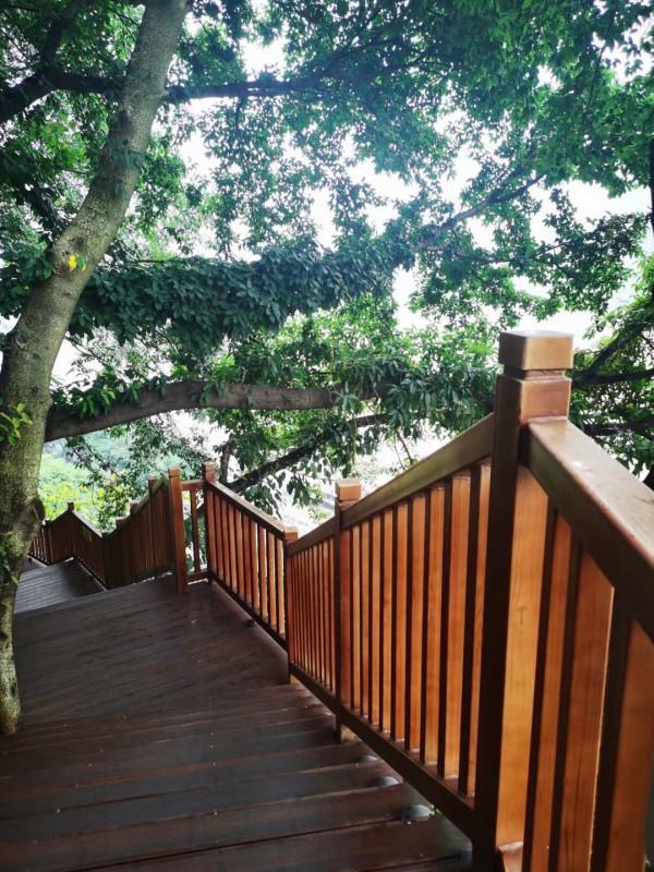 重慶到宜昌黃金6號遊輪5天4晚旅遊