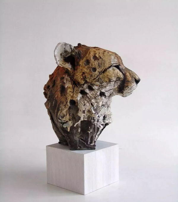 “年度野生動物藝術家”眼中的奇妙動物