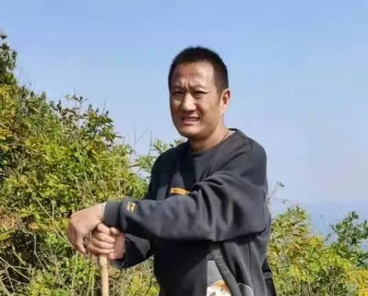 鄉土桐城 | 登烏石山:人生就是一次次爬山 鄉土桐城 | 登烏石山:人生就是一次次爬山