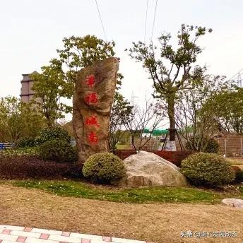 惠南：多個高顏值的口袋公園前來報到