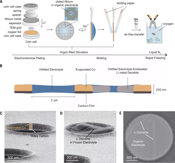 鋰金屬電池領域裡程碑式突破！矽谷高創會主席崔屹又發Science