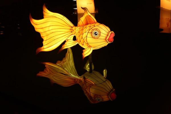 大唐芙蓉園這麼美的花燈，你確定不來嗎？