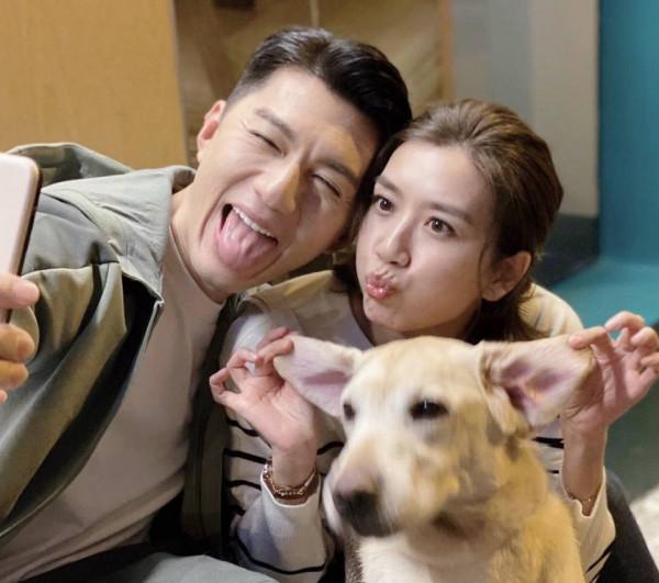 TVB視後前哨戰打響!曾志偉兒媳婦成最大黑馬,黃智雯希望不大 TVB視後前哨戰打響!曾志偉兒媳婦成最大黑馬,黃智雯希望不大