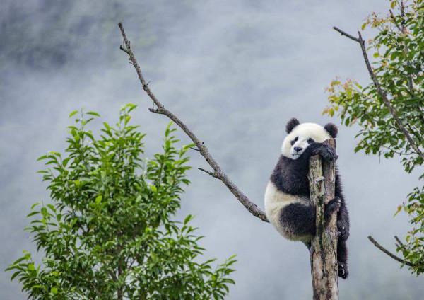 旅遊這件事對大多數人而言&OpenCurlyDoubleQuote;奢侈&rdquo;嗎？