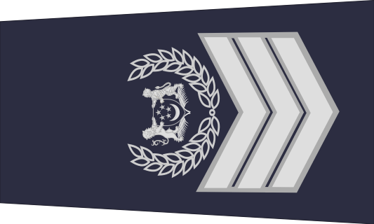 新加坡警銜標識
